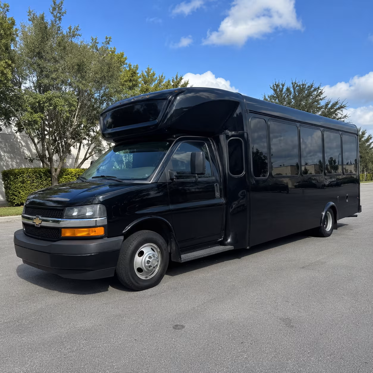 Mesquite Birthday Transportation