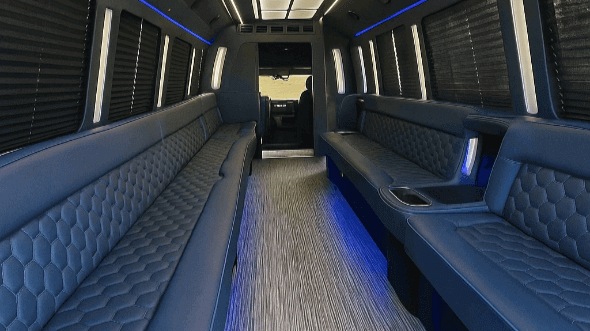 Interior of Mesquite Party Bus Company's 30 Passenger Party Bus in Mesquite