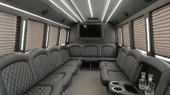 mckinney 20 passenger party bus