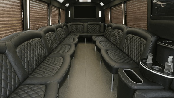 plano 20 passenger party bus